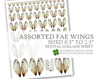 0.5&quot; - 2.5&quot; Assorted Fae Wings Digital Download Collage Sheet PDF Faerie Fairy