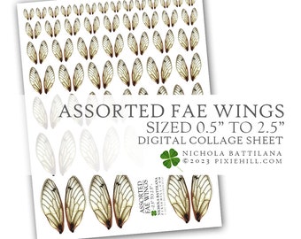 0.5" - 2.5" Assorted Fae Wings Digital Download Collage Sheet PDF Faerie Fairy