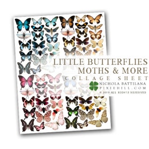 Little Assorted Butterflies Downloadable PDF Collage Sheet