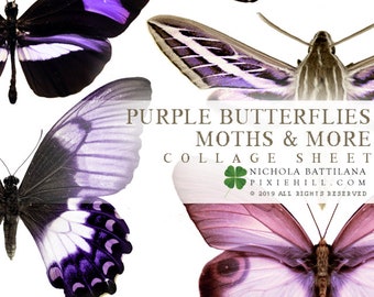 Purple Butterflies Downloadable PDF Collage Sheet