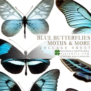 Blue Butterflies Downloadable PDF Collage Sheet
