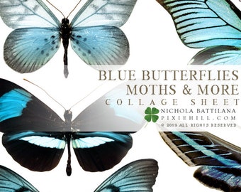 Blue Butterflies Downloadable PDF Collage Sheet