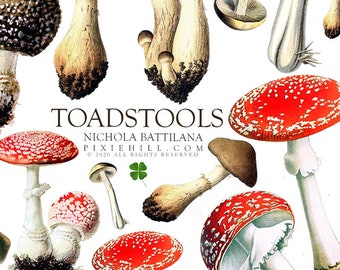 Toadstools Mushrooms Downloadable PDF Collage Sheet