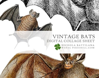 Vintage Bats Downloadable PDF Collage Sheet