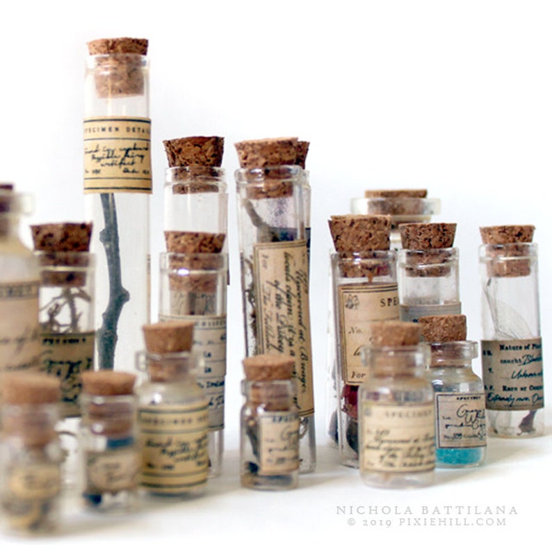 May include: A collection of small glass bottles with cork stoppers, filled with various natural specimens. The bottles have handwritten labels with scientific names and descriptions. The bottles are arranged in a row on a white surface.