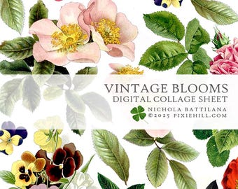 Vintage Blooms Downloadable PDF Collage Sheet
