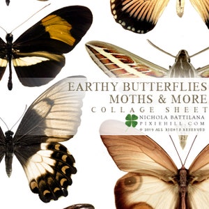 Earthy Butterflies Downloadable PDF Collage Sheet