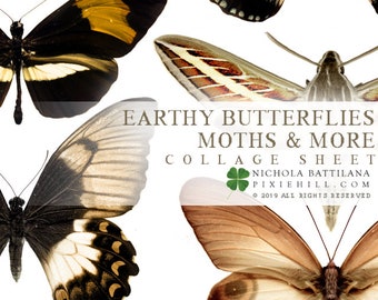 Earthy Butterflies Downloadable PDF Collage Sheet