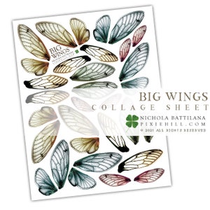 BIG Fairy Wings Digital Collage Sheet