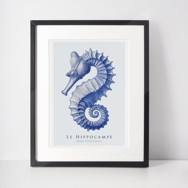 Spiraling Elegance: Le Hippocampe, the Serene Seahorse,  Zoology Poster, Jellyfish , Gift, A1/A2/A3/A4/A5