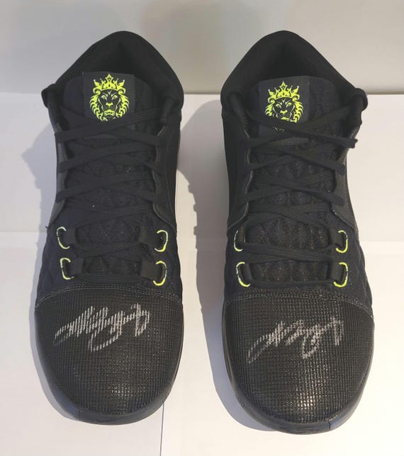 lebron james shoes custom