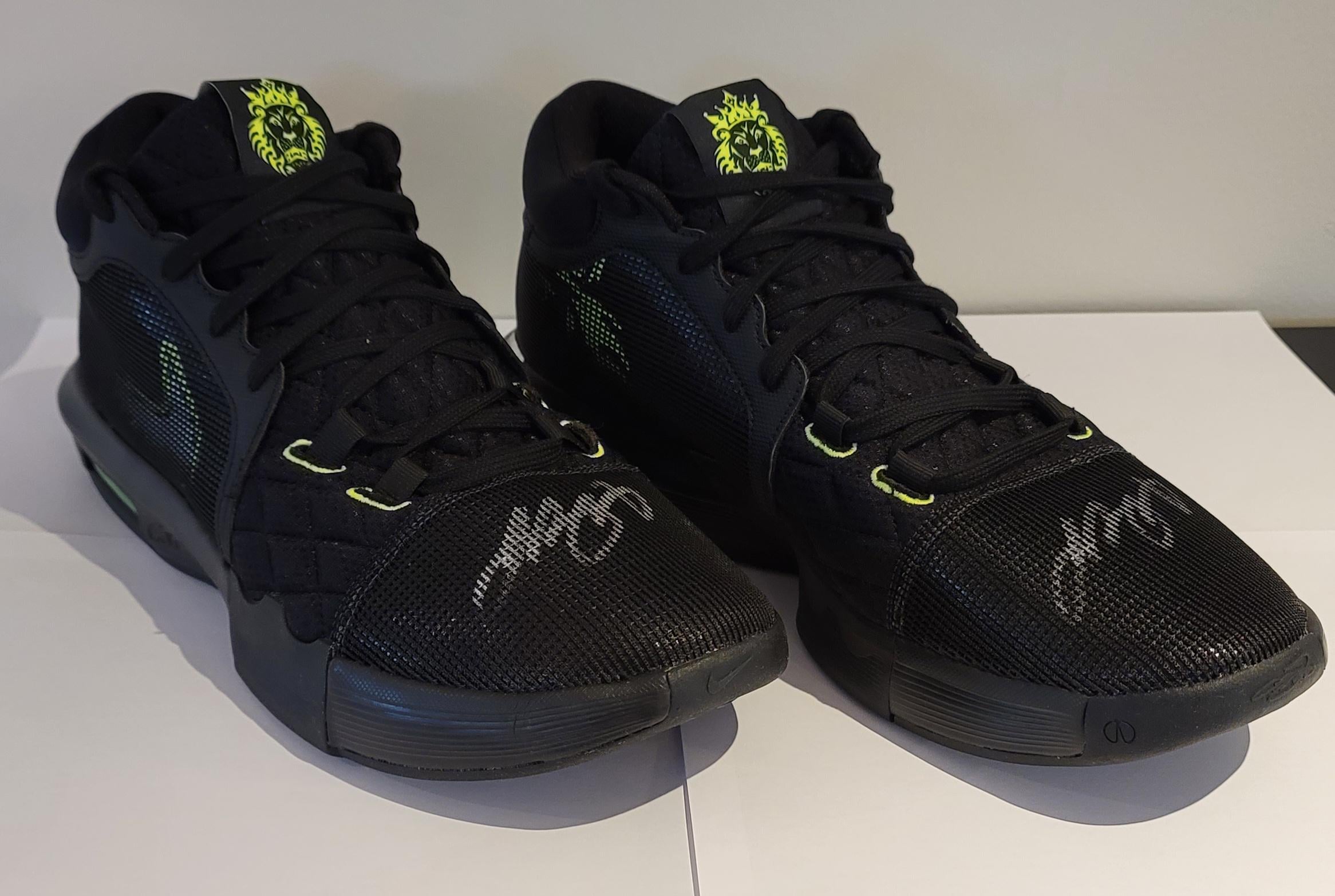 lebron autographed shoes