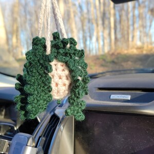 Crochet Hanging Plant image 1