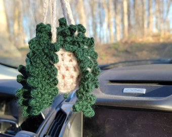 Crochet Hanging Plant