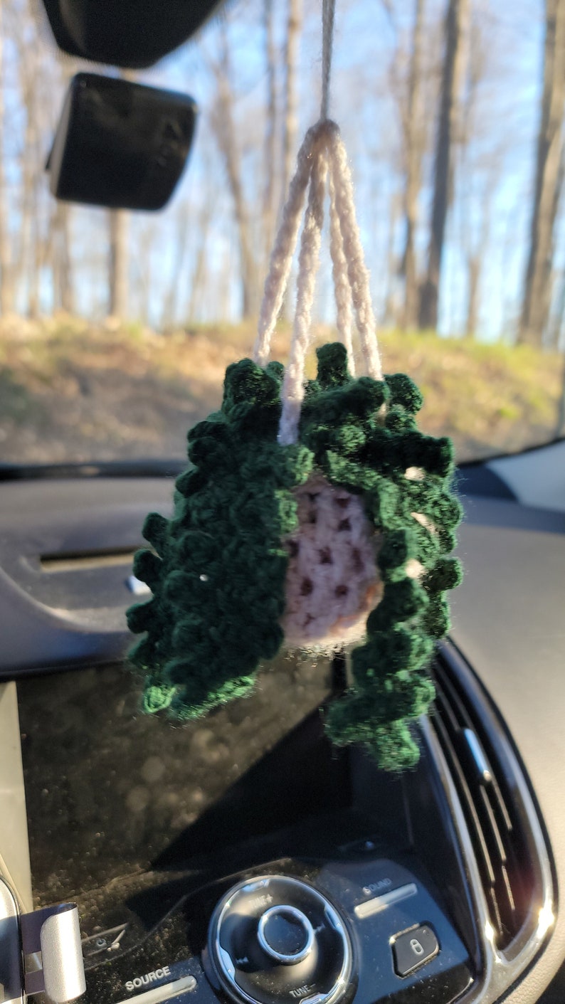 Crochet Hanging Plant image 3