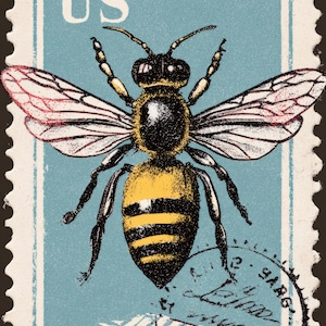 Op de afbeelding: Postzegel in vintage-stijl met een gedetailleerde illustratie van een bij. De bij is afgebeeld met gele en zwarte strepen, vleugels met rode accenten en zwarte poten. De postzegel heeft een blauwe achtergrond met de tekst "US" bovenaan.