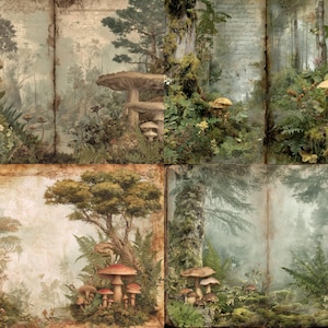 Op de afbeelding: Een collage van bosscènes in vintage-stijl met paddenstoelen, bomen en varens. Het kunstwerk heeft een gedempt kleurenpalet van groen, bruin en beige, wat een grillige, sprookjesachtige esthetiek oproept. De afbeeldingen doen denken aan antieke boekillustraties.