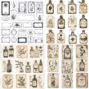 Könnte beinhalten: Eine Sammlung von Vintage-Designs zum Thema Apotheke, darunter Etiketten, Flaschen und botanische Illustrationen. Die Etiketten zeigen verzierte Rahmen, Totenköpfe und leere Bereiche für Text. Die Flaschen sind aus klarem Glas mit Korken. Die botanischen Illustrationen zeigen verschiedene Blumen und Kräuter.