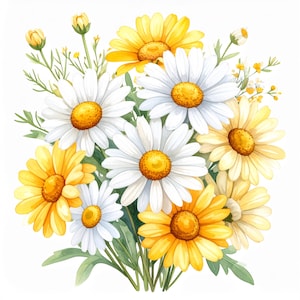 Pode incluir: Ilustração em aquarela de um buquê de margaridas. As flores têm pétalas brancas com centros amarelos, e algumas são amarelas com centros amarelos. Folhas e caules verdes completam o arranjo, em um fundo branco.