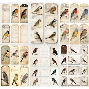 Op de afbeelding: Een verzameling vintage papieren labels met aquarel illustraties van verschillende vogels. De labels zijn in beige en crèmetinten, sommige met handgeschreven tekst en decoratieve elementen. De vogels zijn afgebeeld in levendige kleuren.