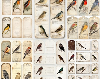 May include: A collection of vintage-style paper tags featuring watercolor illustrations of various birds. The tags are in shades of beige and cream, with some featuring handwritten text and decorative elements. The birds are depicted in vibrant colors.