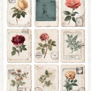 May include: Nine vintage botanical art prints featuring roses and other floral elements. Each print has a distressed, aged appearance with stamps and handwritten script. The colour palette includes shades of pink, yellow, and green against a cream background.