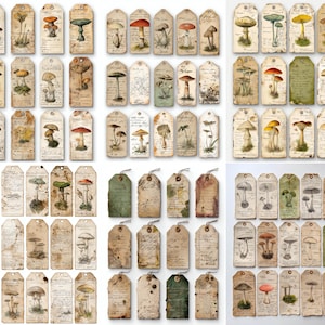 Op de afbeelding: Een verzameling vintage cadeaulabels met gedetailleerde illustraties van verschillende paddenstoelen. De labels hebben een verouderde uitstraling met handgeschreven tekst en touwbevestigingen, wat een rustieke esthetiek laat zien.