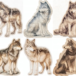 May include: A collection of six wolf illustrations in various poses. The wolves are depicted in shades of gray, brown, and tan, with detailed fur textures. Each illustration is cut out with a rough, irregular edge, giving them a vintage feel.