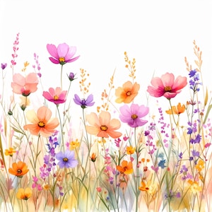 Pode incluir: Ilustração em aquarela de um campo de flores silvestres coloridas. A imagem apresenta uma variedade de flores em tons de rosa, laranja, roxo e amarelo, com caules e folhas verdes. O fundo é branco.