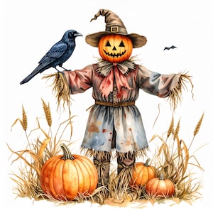 May include: A watercolour illustration of a Halloween scarecrow with a carved pumpkin head, wearing a brown hat and a patchwork outfit. A black crow perches on its arm. Orange pumpkins and wheat stalks are in the foreground.