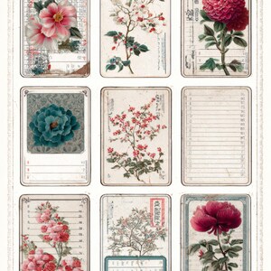 May include: A collection of nine vintage botanical illustrations featuring diverse flowers. The images display a range of colours, including pink, red, and teal, with detailed depictions of blossoms and foliage. Each illustration is framed and set against a textured, aged background.