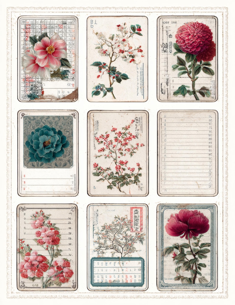 May include: A collection of nine vintage botanical illustrations featuring diverse flowers. The images display a range of colours, including pink, red, and teal, with detailed depictions of blossoms and foliage. Each illustration is framed and set against a textured, aged background.