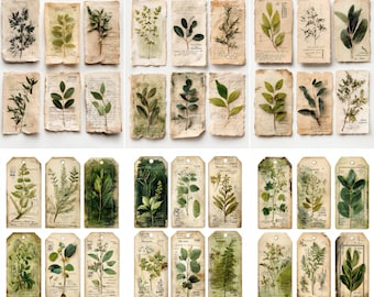300+ Vintage Botanical Specimen Labels, Herbarium Ephemera Junk Journal Kit, Scientific Plant Tag Printables, Digital Download