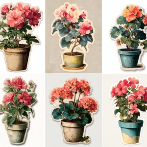 May include: A collection of sticker cutouts featuring potted geranium plants. The flowers range in color from pink to orange, with green foliage. The pots are various colors, including blue and beige, and have a distressed, vintage appearance.