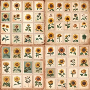 Vintage Sunflower Stamp Collage Sheets – Printable Floral Ephemera for Junk Journals, Scrapbooking, Card Making & Paper Crafts (12 Pages)