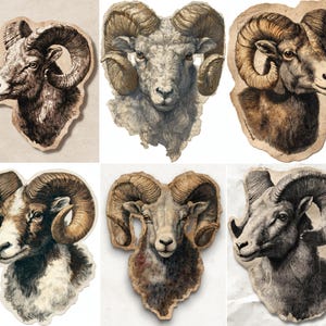 Puede incluir: Una colección de seis ilustraciones vintage de carneros. Cada imagen presenta una representación detallada de la cabeza de un carnero con cuernos prominentes y curvados. Las ilustraciones están en tonos de marrón, gris y beige, con un fondo de papel texturizado y envejecido.