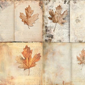 May include: A collage of four open book pages featuring aged, cream-colored paper with handwritten cursive script, dark ink stains, and dried brown maple leaves placed centrally on the pages, creating a vintage, textured, and layered appearance.