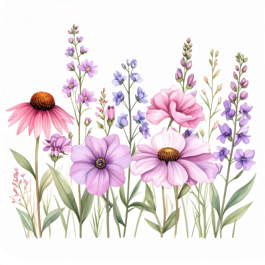 12 Boho Wildflower Watercolor Print Set Soft Meadow Floral Art for ...