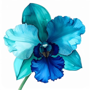 Puede incluir: Ilustración en acuarela de una vibrante flor de orquídea azul. Los pétalos transicionan de turquesa claro a índigo profundo, con detalles intrincados y una apariencia delicada. La flor tiene un centro oscuro y está sobre un fondo blanco.