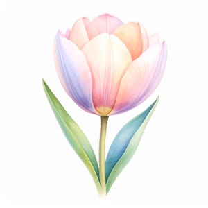 12 Pastel tulip flower print with soft watercolor floral design for wall decor botanical spring bloom artwork cottagecore flower aesthetic
