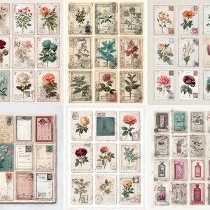 May include: A selection of vintage botanical postcards, showcasing diverse flowers in red, pink, orange, and blue hues. The postcards have a distressed, aged look, with handwritten script and stamps.