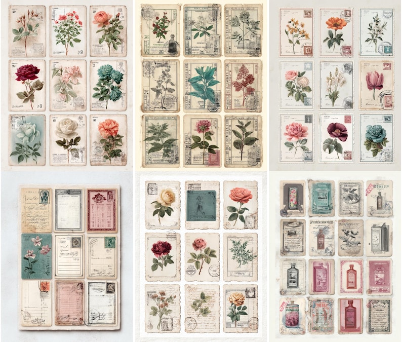 May include: A selection of vintage botanical postcards, showcasing diverse flowers in red, pink, orange, and blue hues. The postcards have a distressed, aged look, with handwritten script and stamps.