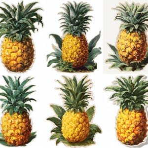 Könnte beinhalten: Sechs Illustrationen von Ananas im Vintage-Stil. Jede Ananas ist leuchtend gelb mit einer strukturierten Oberfläche und einer Krone aus grünen Blättern. Die Illustrationen sind vor einem weißen Hintergrund, einige mit grünem Laub.