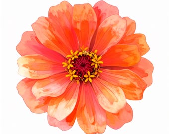 12 bright coral zinnia flower clipart watercolor art single bloom botanical artwork high resolution floral design for crafts and decor