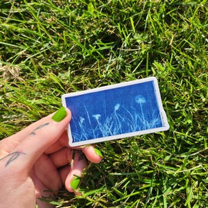 May include: A blue sticker with a white silhouette of dandelions and grass against a blue background.