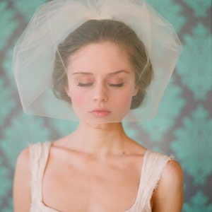 Bridal tulle birdcage veil Double layer full tulle birdcage veil Style 131 Ready to Ship image 2
