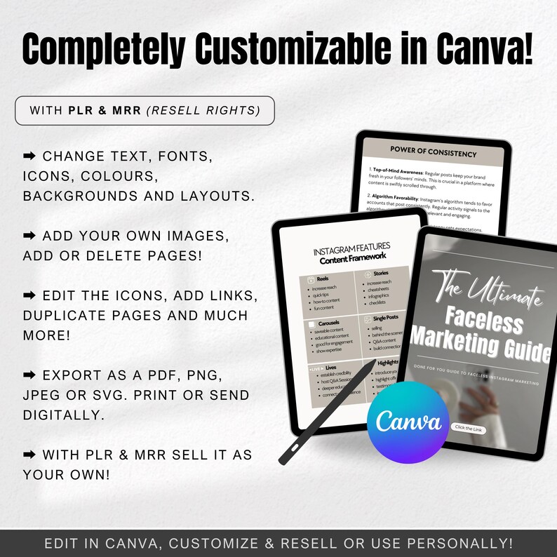 Ultimate Faceless Digital Marketing Guide PLR & MRR DFY Digital Product ...