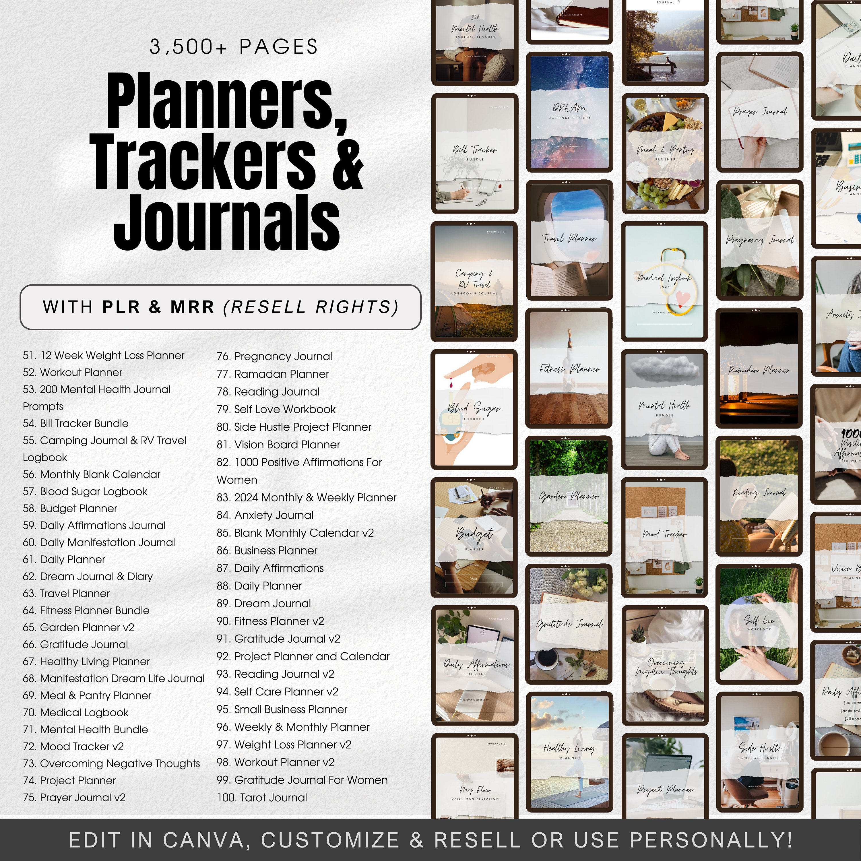 3,500+ Editable Canva Templates With Master Resell Rights | PLR MRR ...