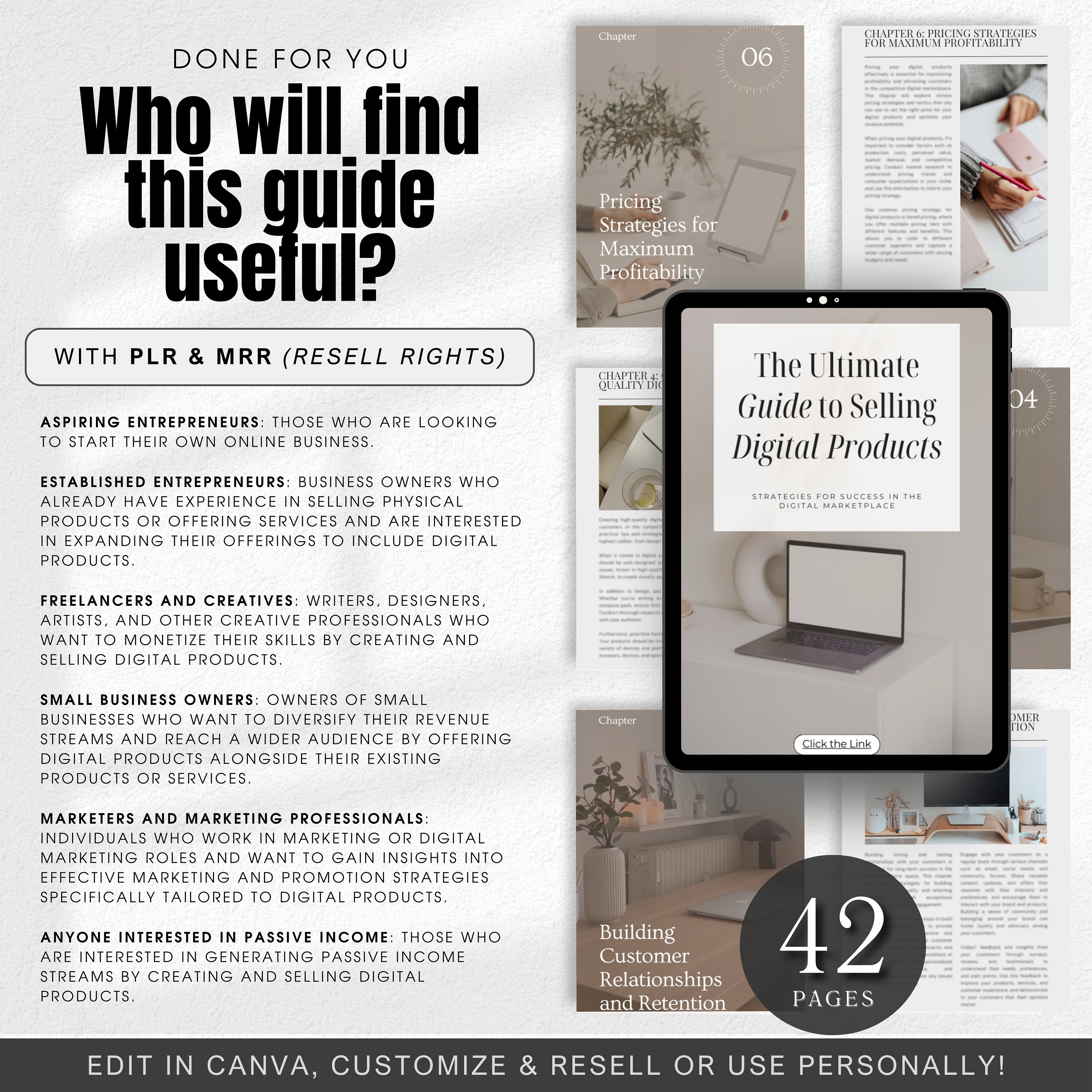 PLR & MRR Guide to Selling Digital Products Master Resell Rights ...