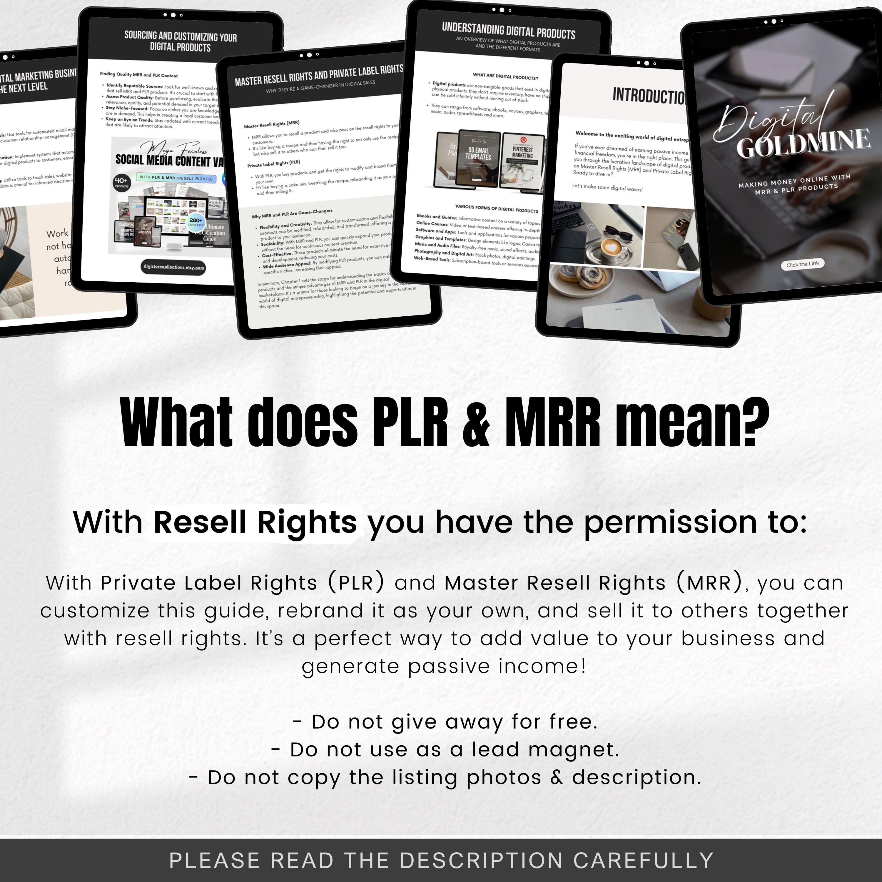 Digital Goldmine Guide Passive Income With MRR & PLR Products Private ...